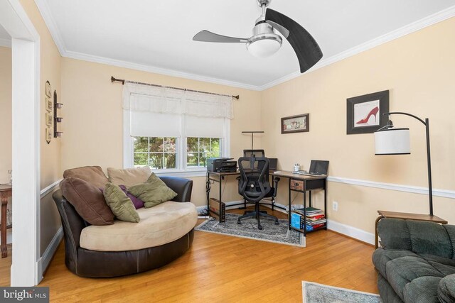 office space with hardwood / wood-style flooring, ornamental molding, and ceiling fan