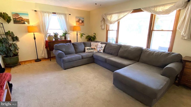 living area with carpet flooring