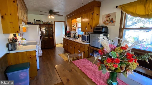 kitchen featuring stainless steel microwave, light countertops, a sink, and ceiling fan