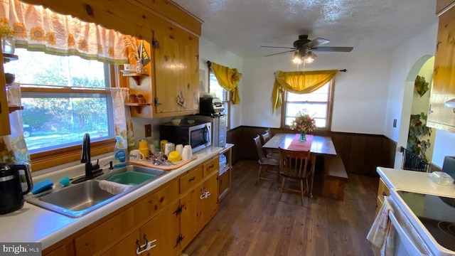 kitchen featuring light countertops, stainless steel microwave, wood finished floors, a sink, and wainscoting