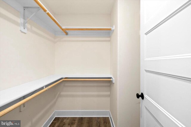 spacious closet featuring dark hardwood / wood-style floors