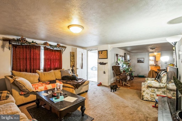 carpeted living area featuring a textured ceiling