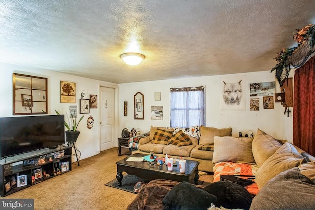 living area with a textured ceiling and carpet flooring