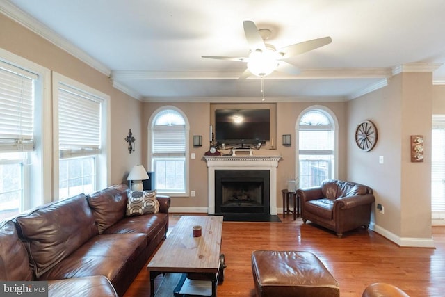 living room featuring hardwood / wood-style flooring, plenty of natural light, and ornamental molding