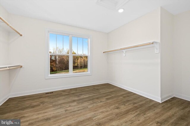 spacious closet featuring dark wood-type flooring