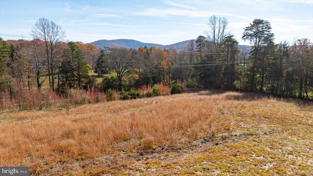 view of yard with a mountain view