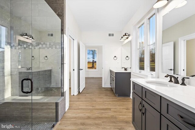 bathroom with vanity, wood-type flooring, and walk in shower