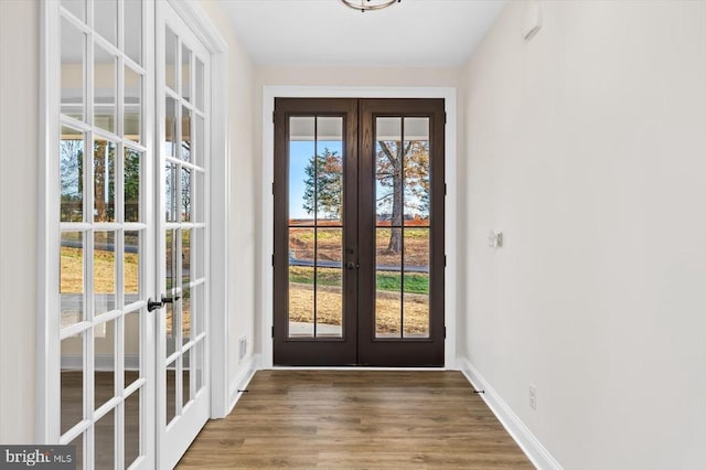 entryway featuring french doors, a healthy amount of sunlight, and hardwood / wood-style flooring