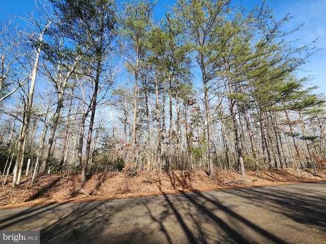 Shore Dr, Orange VA, 22960 land for sale