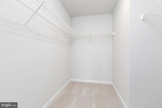 walk in closet with carpet