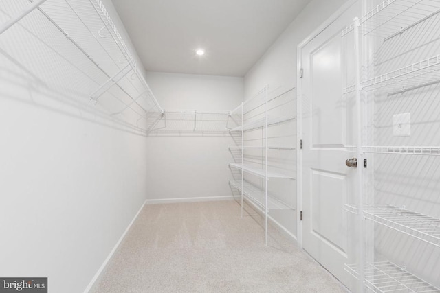 walk in closet with light carpet