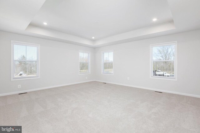 carpeted spare room with plenty of natural light and a raised ceiling