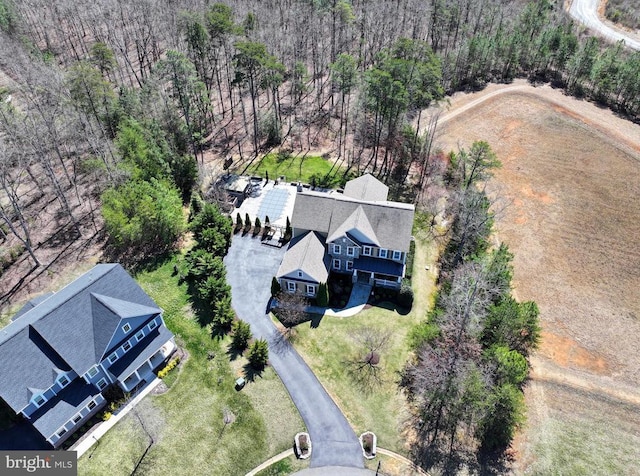drone / aerial view