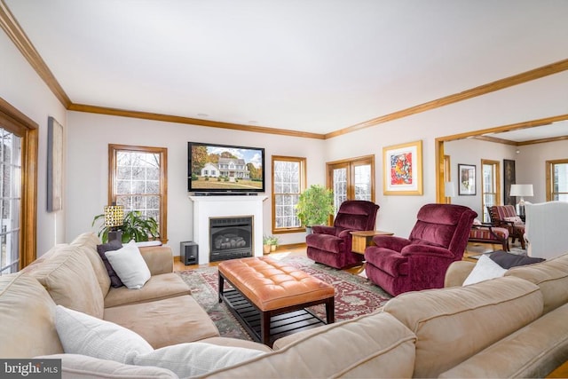 living room with ornamental molding, wood finished floors, and a glass covered fireplace