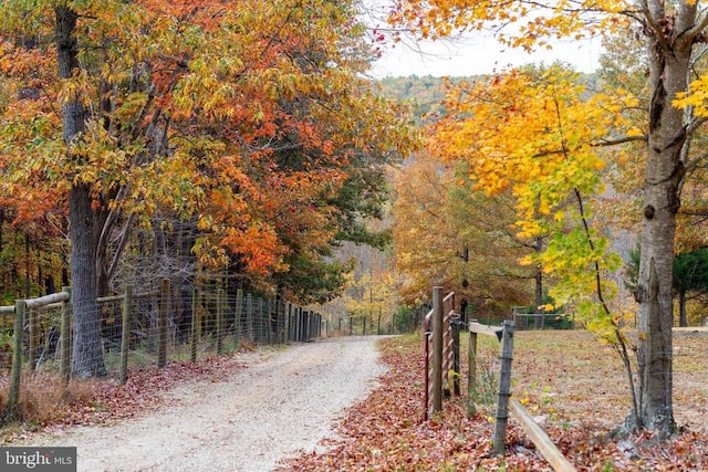 view of road featuring a wooded view