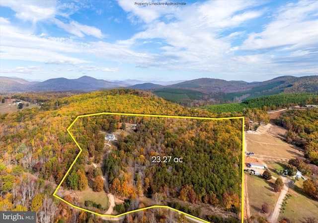 birds eye view of property featuring a forest view and a mountain view