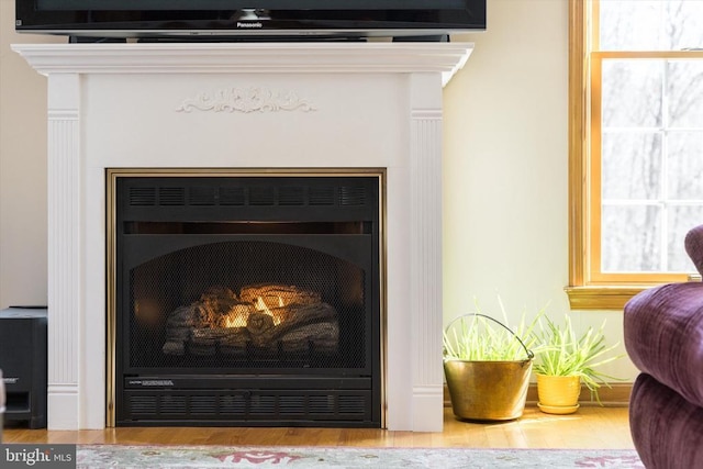 details with a lit fireplace and wood finished floors