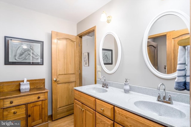 bathroom with wood finished floors, a sink, and double vanity