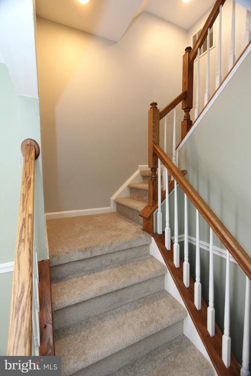 stairway featuring carpet floors