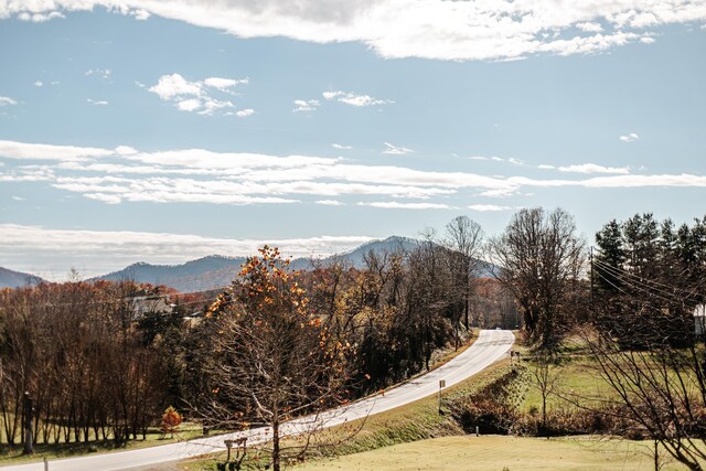 view of mountain feature