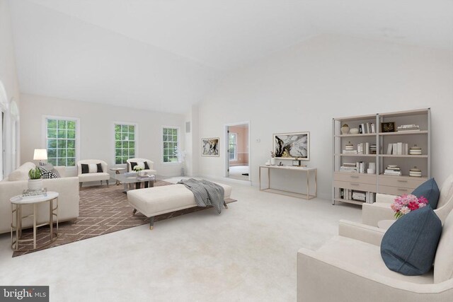 bedroom with high vaulted ceiling and carpet