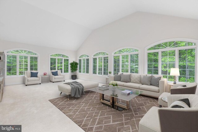 living room with high vaulted ceiling and dark carpet