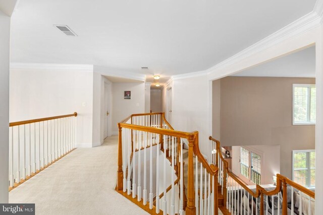 corridor featuring ornamental molding, plenty of natural light, and light colored carpet