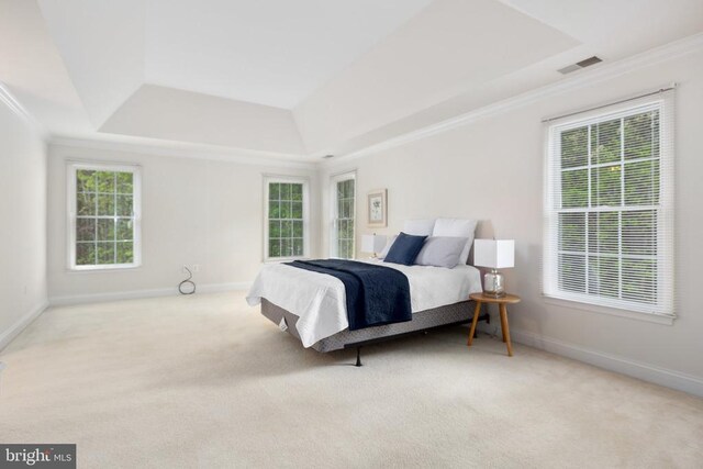 bedroom featuring a raised ceiling, crown molding, light carpet, and multiple windows