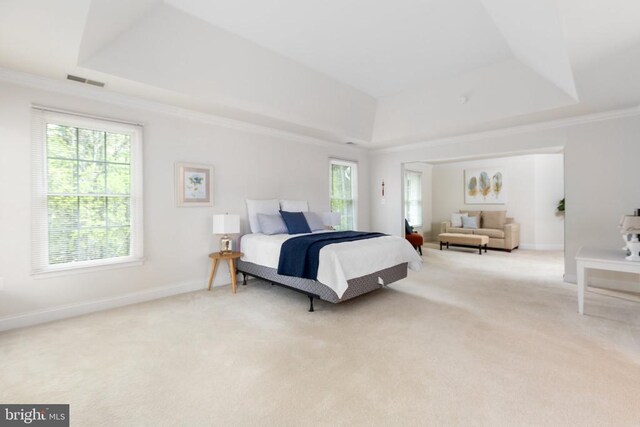 carpeted bedroom with a raised ceiling and crown molding