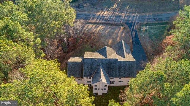 bird's eye view