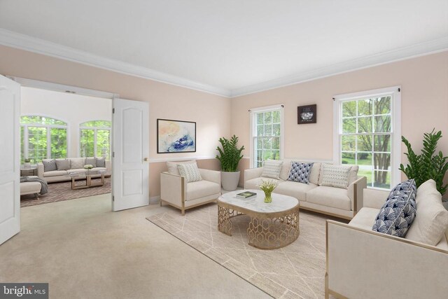 carpeted living room with crown molding