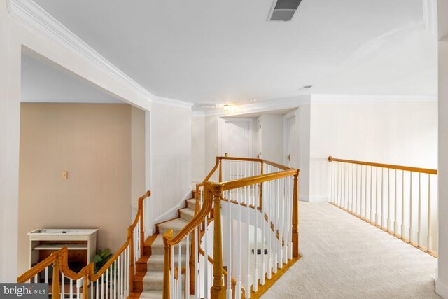 corridor featuring crown molding and light carpet