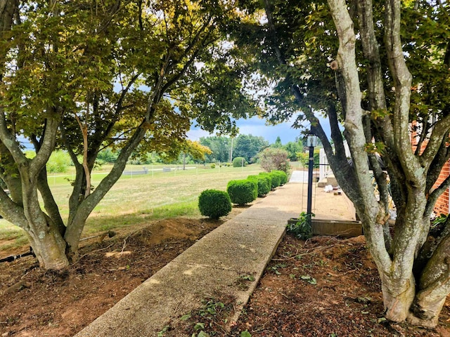 view of property's community featuring a yard