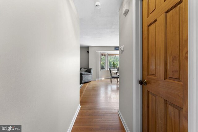 hall featuring wood-type flooring