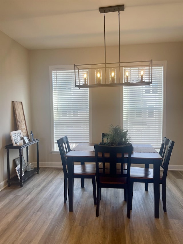 dining room featuring wood-type flooring