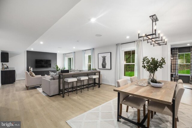 dining area with light hardwood / wood-style flooring