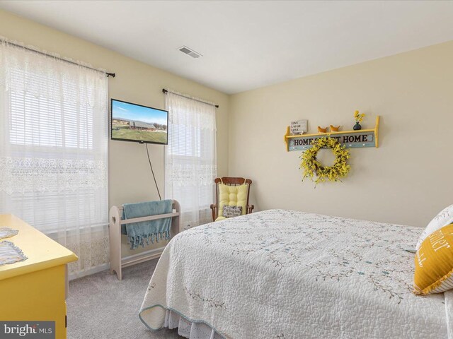 carpeted bedroom with multiple windows