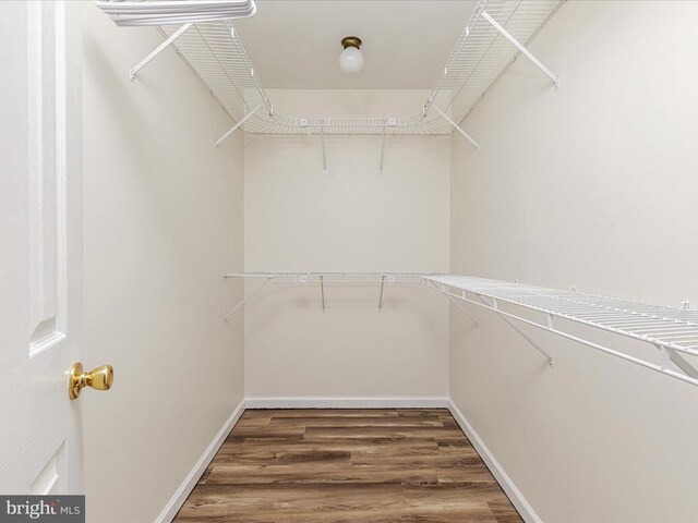 spacious closet with dark hardwood / wood-style flooring