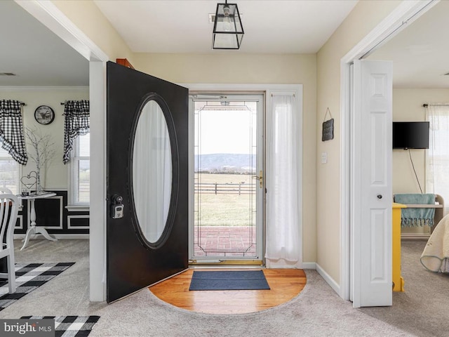 entrance foyer featuring carpet flooring