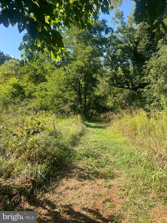 Listing photo 3 for James Madison Hwy, Gordonsville VA 22942