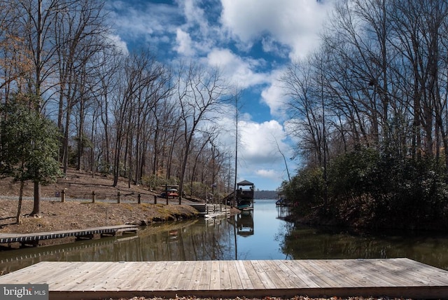 dock area featuring a water view