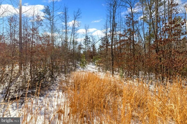 view of snowy landscape