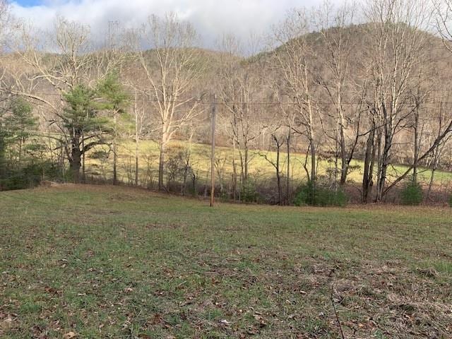 Listing photo 3 for TBD Lower Back Creek Rd, Monterey VA 24465