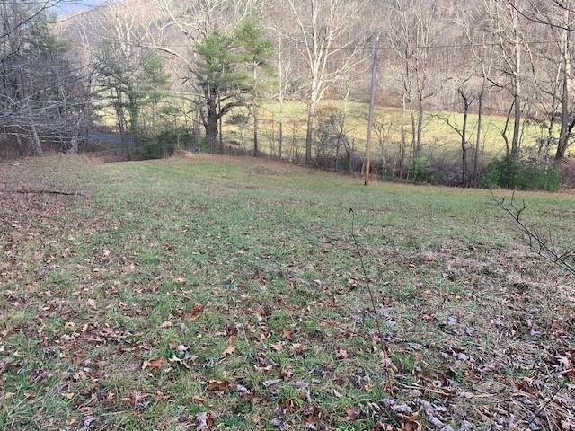 Listing photo 2 for TBD Lower Back Creek Rd, Monterey VA 24465