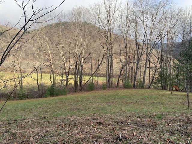 TBD Lower Back Creek Rd, Monterey VA, 24465 land for sale