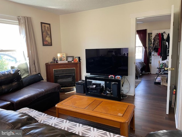 living room featuring a glass covered fireplace and wood finished floors