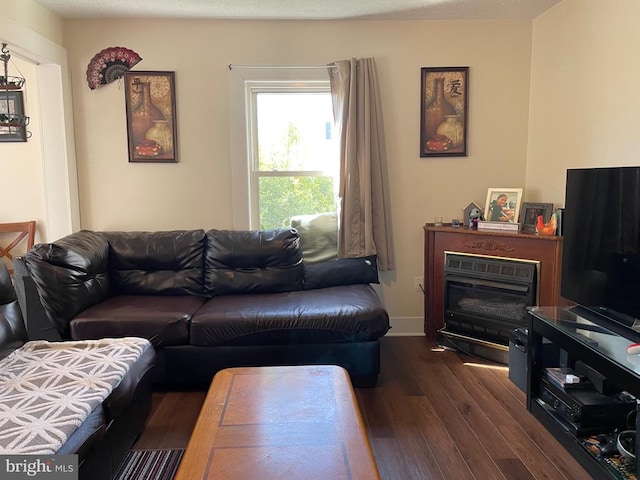 living area with dark wood finished floors