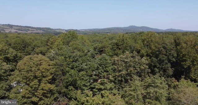 view of mountain feature featuring a view of trees