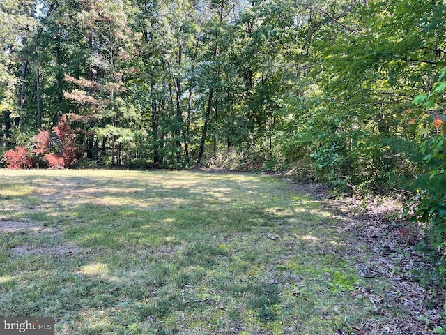 view of yard with a view of trees