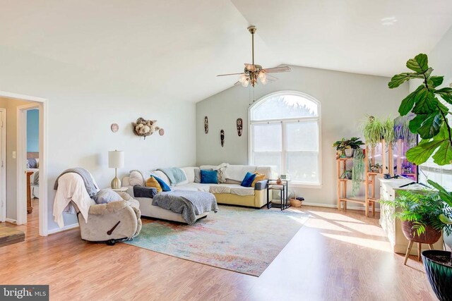 living room featuring ceiling fan, lofted ceiling, and light hardwood / wood-style floors